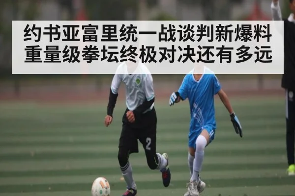 约书亚富里统一战谈判新爆料 重量级拳坛终极对决还有多远